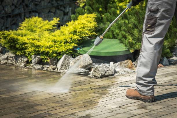 Best Animal Enclosure Cleaning  in Orleans, VT