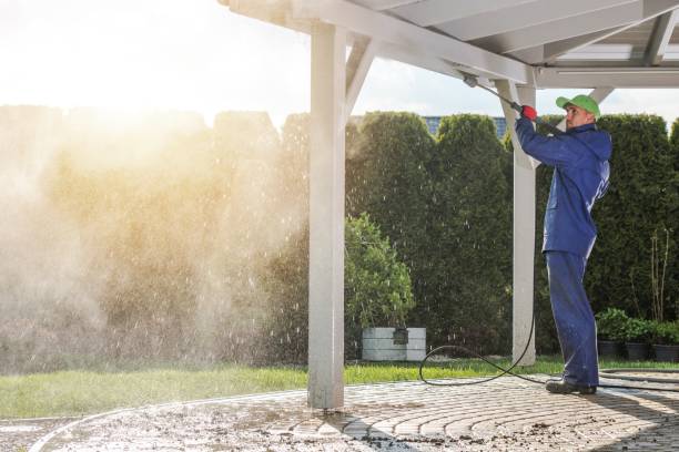 Best Gutter Cleaning  in Orleans, VT
